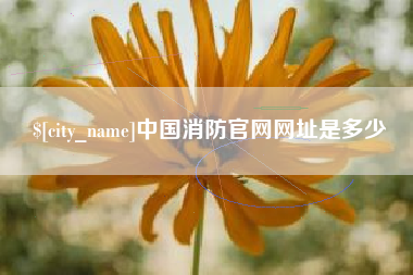 淮北中国消防官网网址是多少