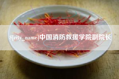淮北中国消防救援学院副院长