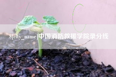 淮北中国消防救援学院录分线