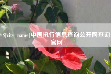 淮北中国执行信息查询公开网查询官网