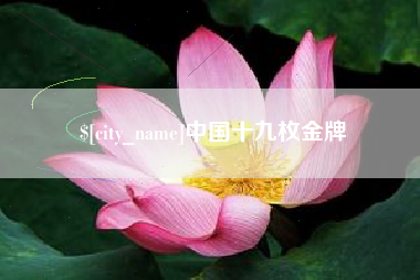 淮北中国十九枚金牌