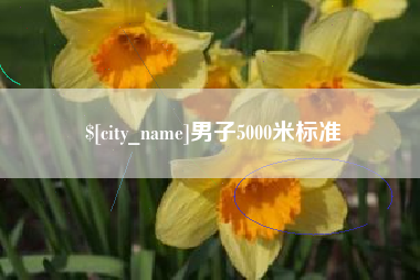 淮北男子5000米标准