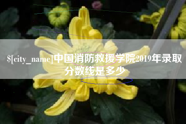 淮北中国消防救援学院2019年录取分数线是多少