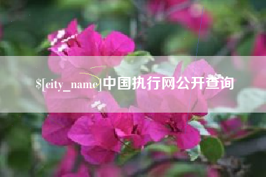 淮北中国执行网公开查询