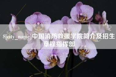 淮北中国消防救援学院简介及招生章程指挥部