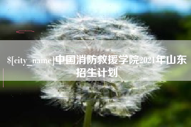 淮北中国消防救援学院2021年山东招生计划