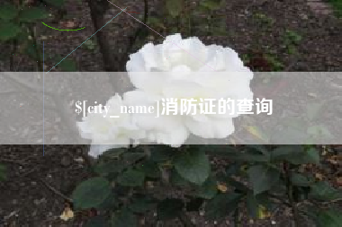 淮北消防证的查询