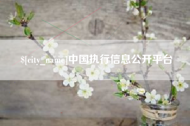 淮北中国执行信息公开平台