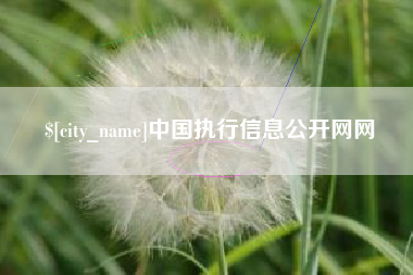 淮北中国执行信息公开网网