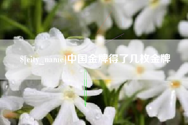 淮北中国金牌得了几枚金牌