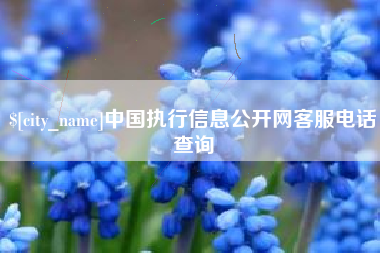 淮北中国执行信息公开网客服电话查询