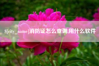 淮北消防证怎么查询,用什么软件