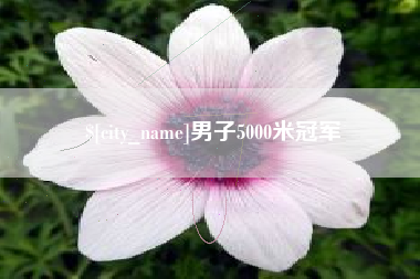 淮北男子5000米冠军