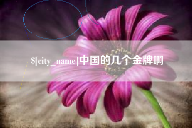 淮北中国的几个金牌啊
