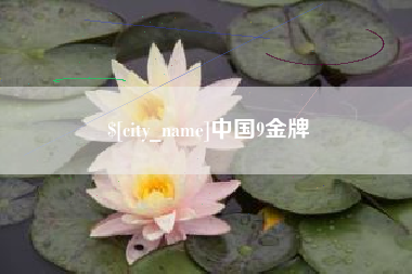 淮北中国9金牌