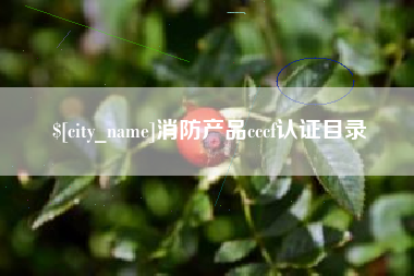 淮北消防产品cccf认证目录