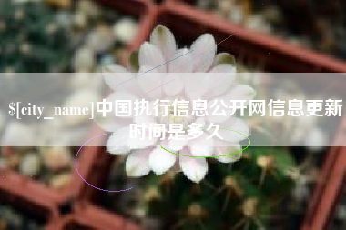 淮北中国执行信息公开网信息更新时间是多久