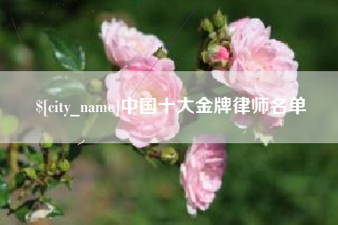 淮北中国十大金牌律师名单