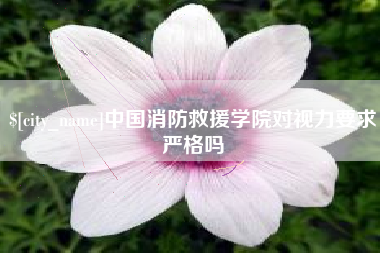 淮北中国消防救援学院对视力要求严格吗