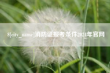 淮北消防证报考条件2024年官网