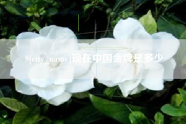 淮北现在中国金牌是多少