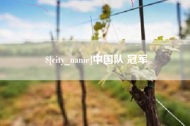 淮北中国队 冠军
