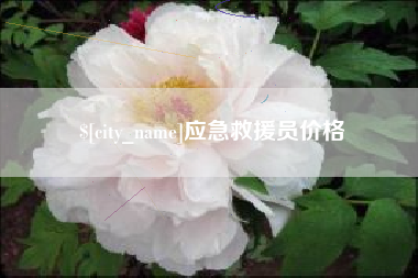 淮北应急救援员价格