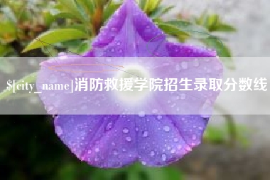 淮北消防救援学院招生录取分数线