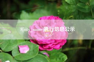 淮北执行信息公示