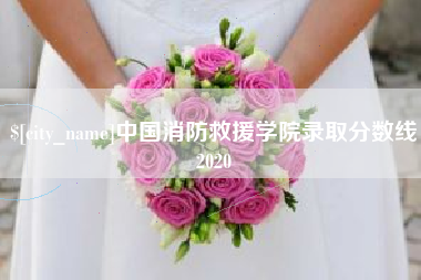 淮北中国消防救援学院录取分数线2020