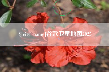淮北谷歌卫星地图2025