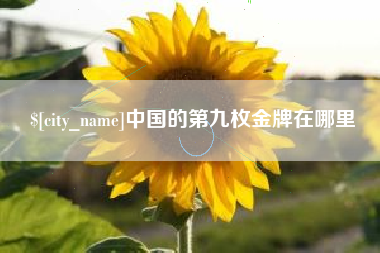 淮北中国的第九枚金牌在哪里