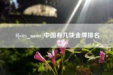 淮北中国有几块金牌排名