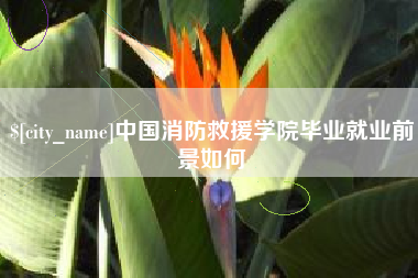 淮北中国消防救援学院毕业就业前景如何