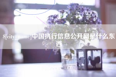淮北中国执行信息公开网是什么东西