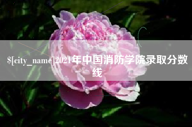 淮北2021年中国消防学院录取分数线