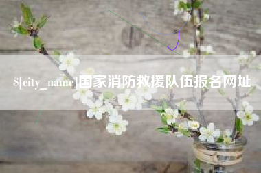 淮北国家消防救援队伍报名网址