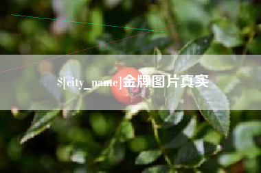 淮北金牌图片真实
