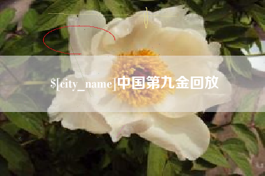 淮北中国第九金回放