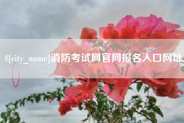 淮北消防考试网官网报名入口网址
