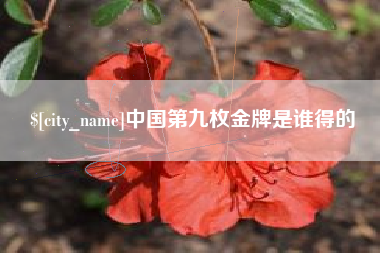 淮北中国第九枚金牌是谁得的