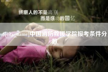 淮北中国消防救援学院报考条件分数