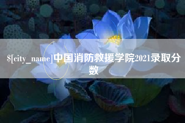 淮北中国消防救援学院2021录取分数