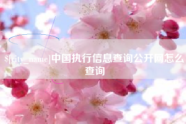 淮北中国执行信息查询公开网怎么查询