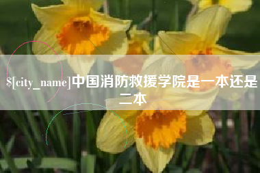 淮北中国消防救援学院是一本还是二本