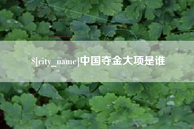 淮北中国夺金大项是谁