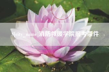 淮北消防救援学院报考条件