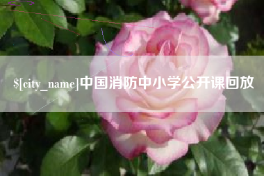 淮北中国消防中小学公开课回放