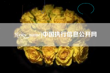 淮北中国执行信息公开网