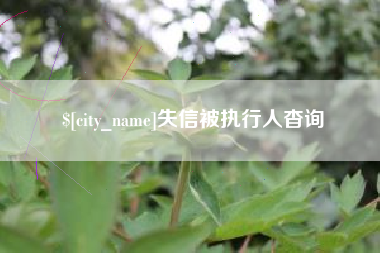 淮北失信被执行人杳询
